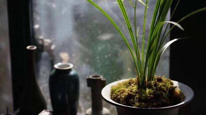 数字能量 数字能量学是通过不同的数字组合来解读分析每个人的运势