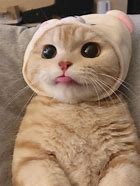 这年头，手机号码很重要，绑定了各种社交账号、支付工具、银行卡......要是手机卡突然损坏或丢失，真是猝不及防！为了给大家提供方便，现在各大运营商特推出跨区补卡业务。